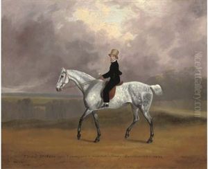 Thomas Dicksan, Aged 8, On His Favorite Pony Wendlestone, In A Landscape