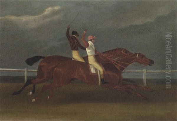 "acteon" Beating "memnon" - view 1