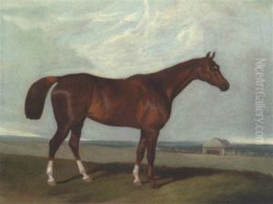 A Chestnut Hunter Within A Landscape by David of York Dalby