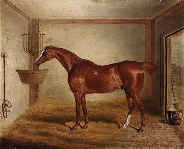 "whittington", A Favourite Bay Hunter In A Stable - view 1