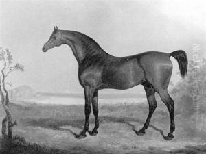 "young Turk" The Property Of Wm. Goodboys "young Turk" The Property Of Wm. Goodboys