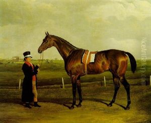 "laurel", A Bay Racehorse, Held By His Trainer
