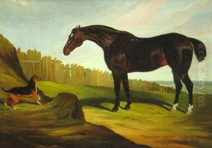 "betsy", 22 Years Old by David of York Dalby