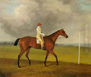 "reveller", A Bay Racehorse With Jockey Johnson Up