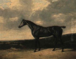 A Grey Racehorse In A Landscape A Grey Racehorse In A Landscape