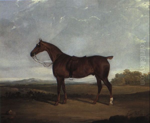 A Saddled Bay Hunter In A Landscape - view 1