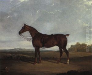 A Saddled Bay Hunter In A Landscape by David of York Dalby