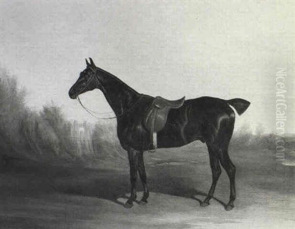 Portrait Of A Bay Hunter, Saddled In A Landscape - view 1