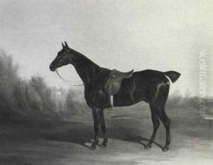 Portrait Of A Bay Hunter, Saddled In A Landscape