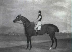 Study Of A Starred Bay Horse With Jockey Up by David of York Dalby