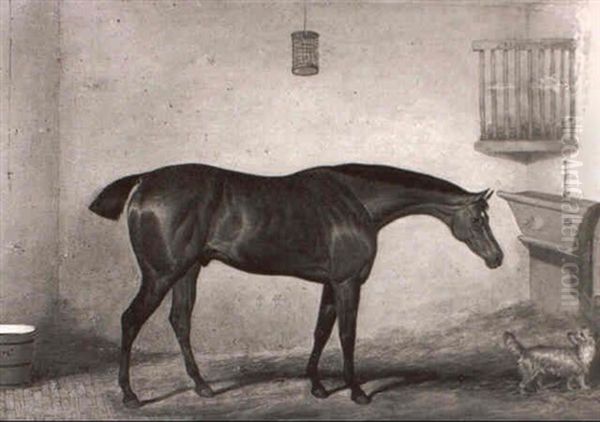 President, A Chestnut Hunter With A Terrier In A Loosebox - view 1