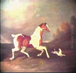A Brown And White Skewbald Horse And A Terrier In A Landscape A Brown And White Skewbald Horse And A Terrier In A Landscape