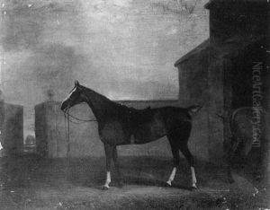 A Hunter In A Stable Yard A Hunter In A Stable Yard