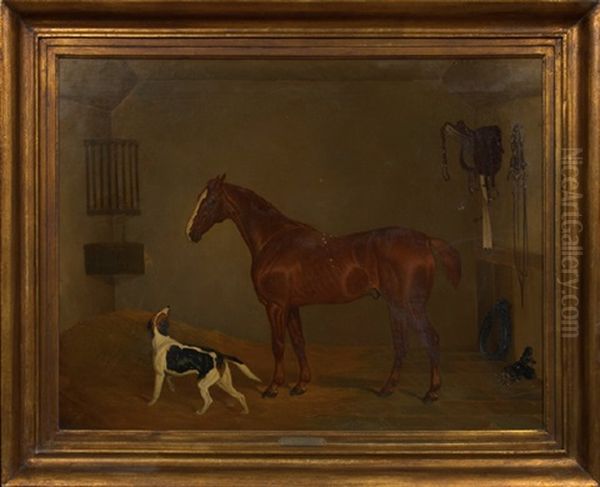 Horse And Foxhound In A Stable - view 1