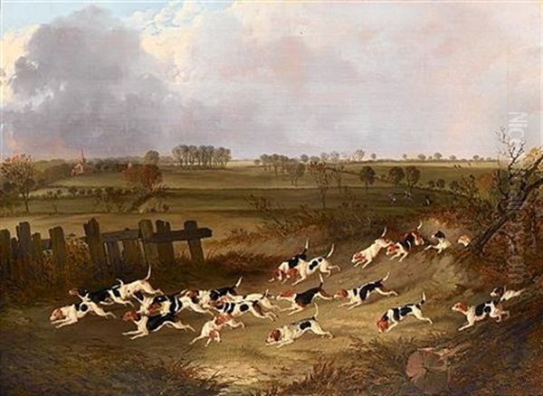 The Royal Rock Beagles - view 1