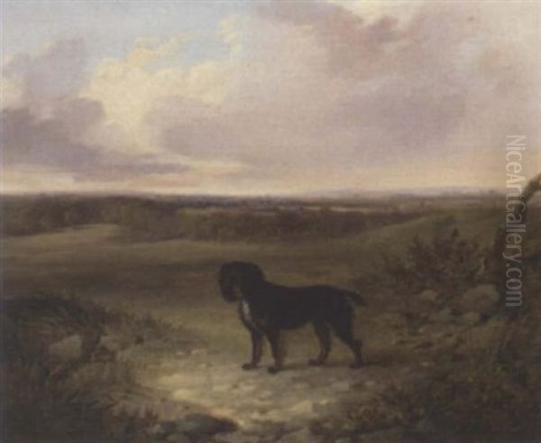 "smut", A Spaniel - view 1