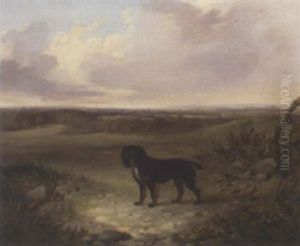 "smut", A Spaniel by John Dalby