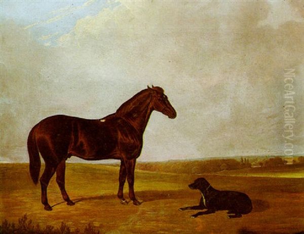 A Bay Hunter And A Black Labrador In A Landscape - view 1
