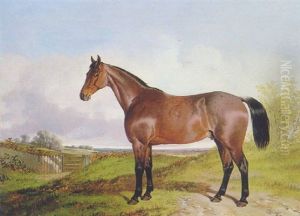 A Chestnut Horse In A Landscsape