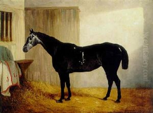 A Dark Grey Horse In A Stable