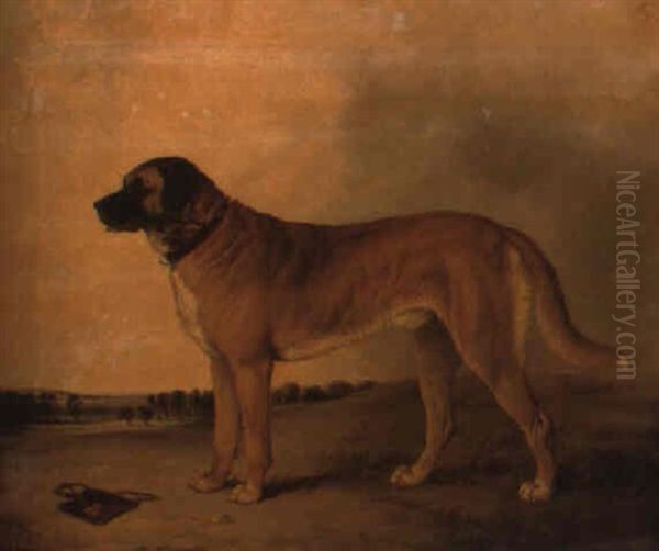 A Mastiff In An Extensive Landscape - view 1