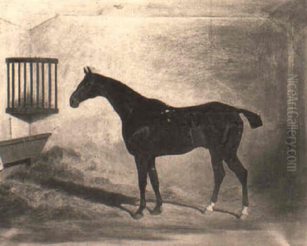A Bay Hunter In A Stable - view 1