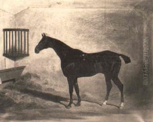 A Bay Hunter In A Stable A Bay Hunter In A Stable