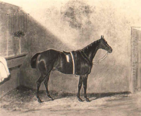 'forester', A Bat Hunter, In A Stable - view 1
