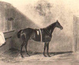 'forester', A Bat Hunter, In A Stable 'forester', A Bat Hunter, In A Stable