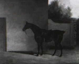 Saddled Bay Hunter In A Stableyard