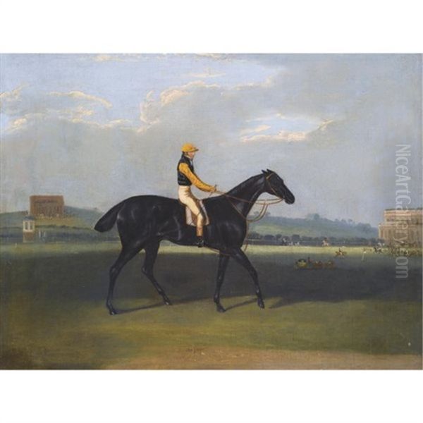 "angler", A Dark Bay Racehorse With Jockey Up - view 1