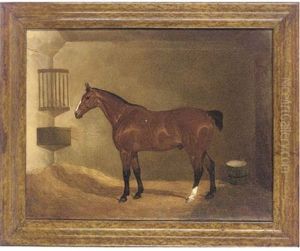 A Bay Hunter In A Stable