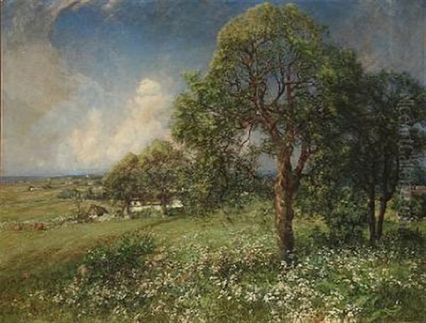 Danish Summer Landscape - view 1