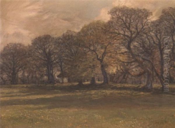 A Grove Of Trees - view 1