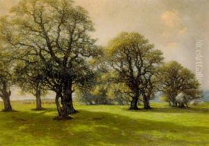 Store Traeer Pa En Slette I Dyrehaven by Hans Mathias Halten Dall
