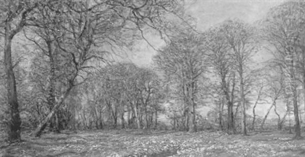 Fruhlingslandschaft - view 1