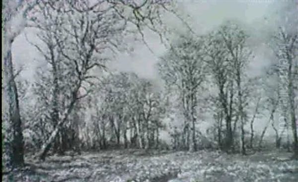 Waldlichtung Im Fruhling - view 1