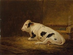 Liegende Kuh Im Stall by Johann Baptist Dallinger von Dalling the Younger