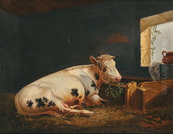 Liegende Kuh - view 1