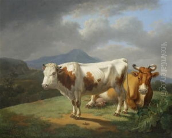 Stier Und Kuh - view 1
