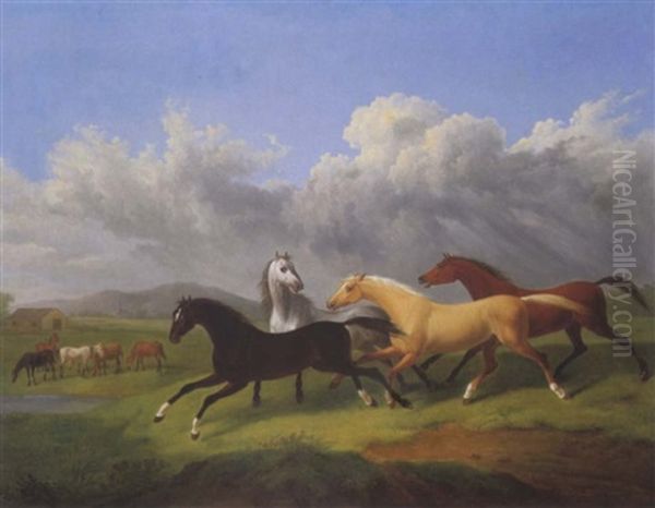 Pferd Auf Der Weide - view 1