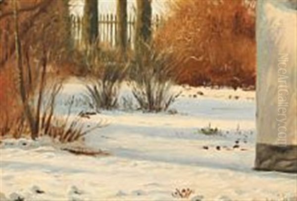 Winter Landscape With Sunlight In A Garden - view 1