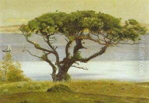 Egen Ved Limfjorden by Christen Dalsgaard