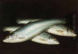 A Fresh Catch Of Trout by Alexandre Dalziel