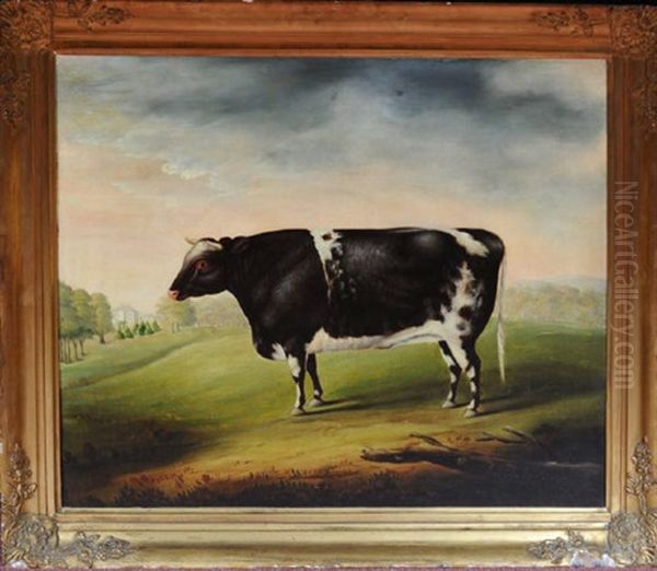 A Portrait Of A Prize Bull In The Grounds Of A Country House - view 1