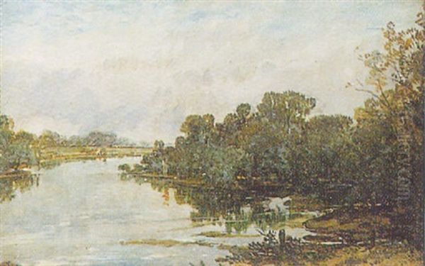 River Landscape - view 1