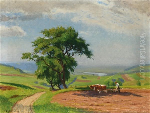 Landschaft Mit Pflugendem Bauer - view 1