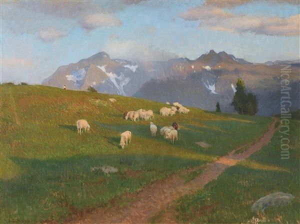 Weidende Schafe Auf Der Alm - view 1