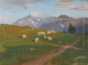 Weidende Schafe Auf Der Alm Weidende Schafe Auf Der Alm