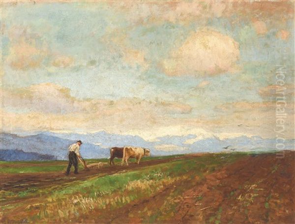 Pflugender Bauer Mit Ochsengespann - view 1